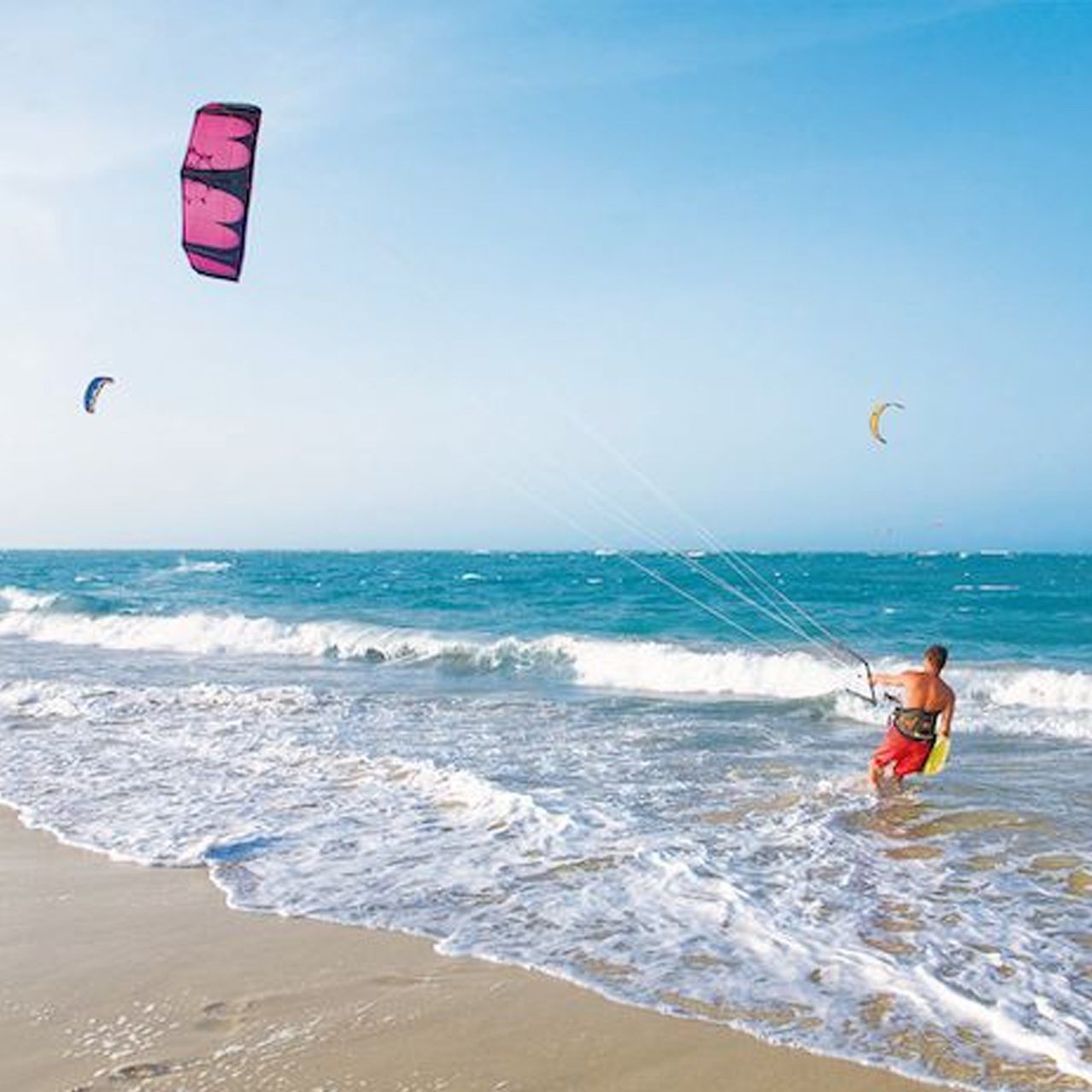 kite